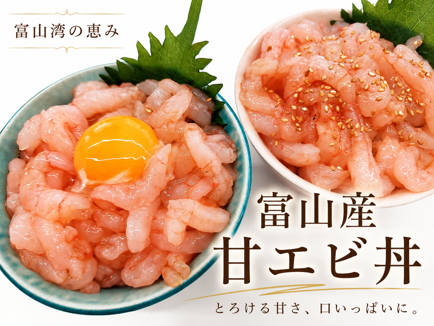 copy1782079703_ChatGPT Image 2026年6月14日 甘エビムキ.png